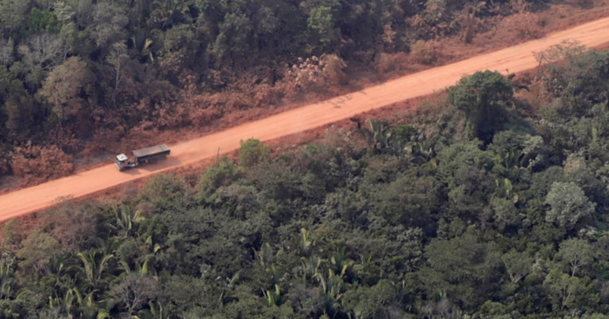 Бразилските законодатели приемат законопроект за асфалтиране на магистрала през тропическите гори на Амазонка