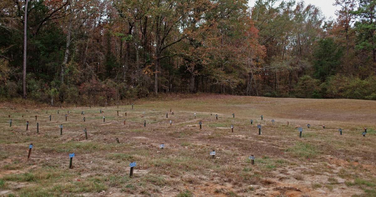 Непотърсените мъртви от окръг Хиндс Мисисипи са погребани по черен