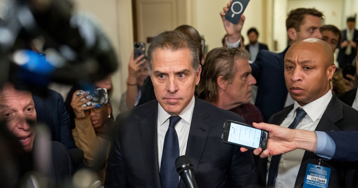 Hunter Biden makes a surprise appearance at a House committee hearing and insults him