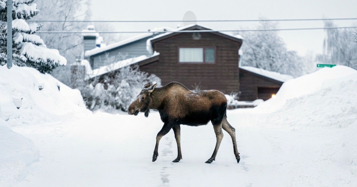 В Аляска е толкова студено и снежно, че мазутът се сгъстява и покривите се срутват