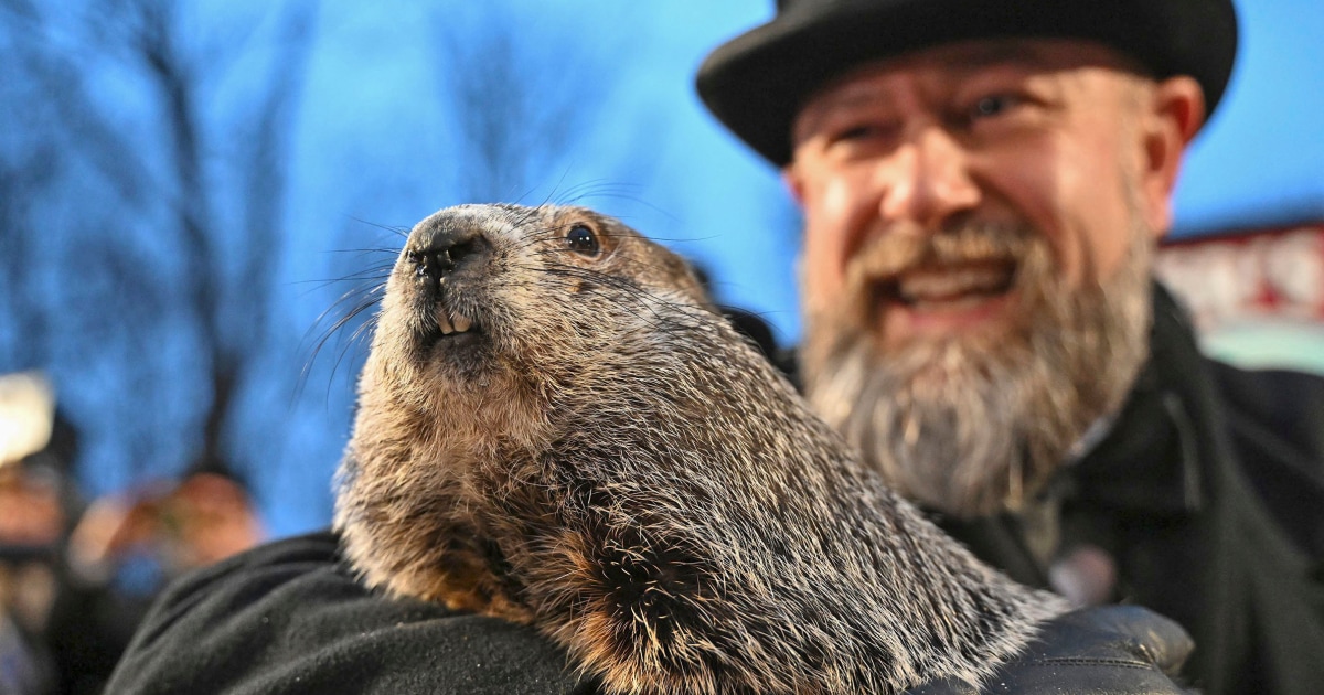 Groundhog Day 2024 Punxsutawney Phil predicts an early spring