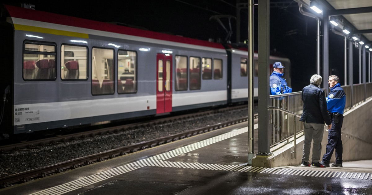 Мъж, който държеше брадва и нож, беше убит от полицията, след като залови заложници в швейцарския влак
