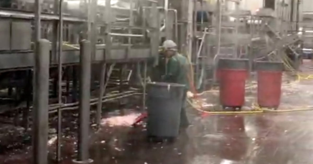 Фирма от Тенеси незаконно наема непълнолетни за почистване на триони за месо, цепачи за глави в кланици, казва Министерството на труда