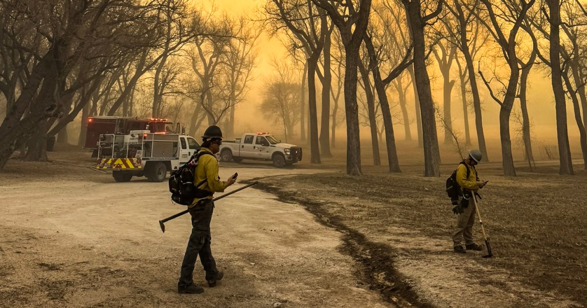 В Тексас мощна комбинация от суха земя и силни ветрове подхранва горски пожари