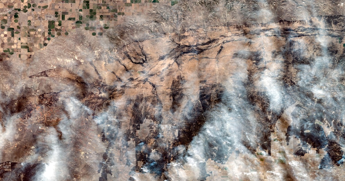 Сателитни изображения показват опустошението на горските пожари в Тексас