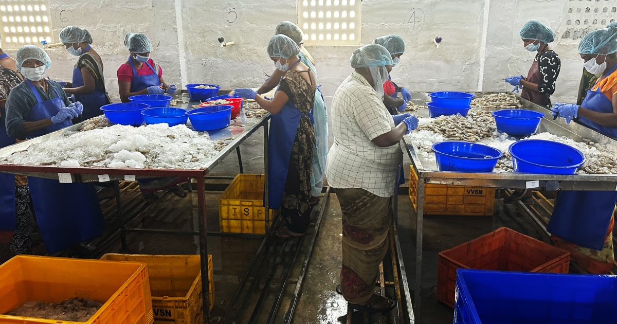 Индийска компания е продала замърсени скариди на магазините за хранителни стоки в САЩ, казва „доносникът“