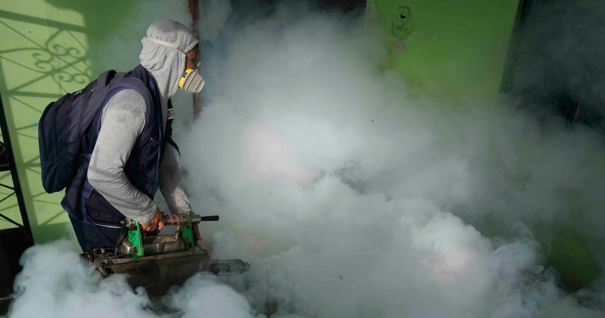 A record surge in dengue cases in Latin America spurs a warning for proactive measures