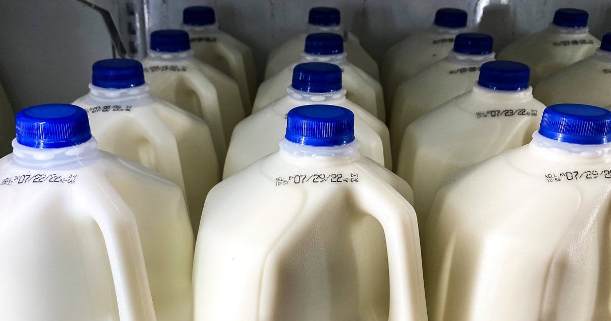 The Food and Drug Administration said Thursday that traces of the bird flu virus have been found in 1 in 5 samples of pasteurized milk, providing a mo