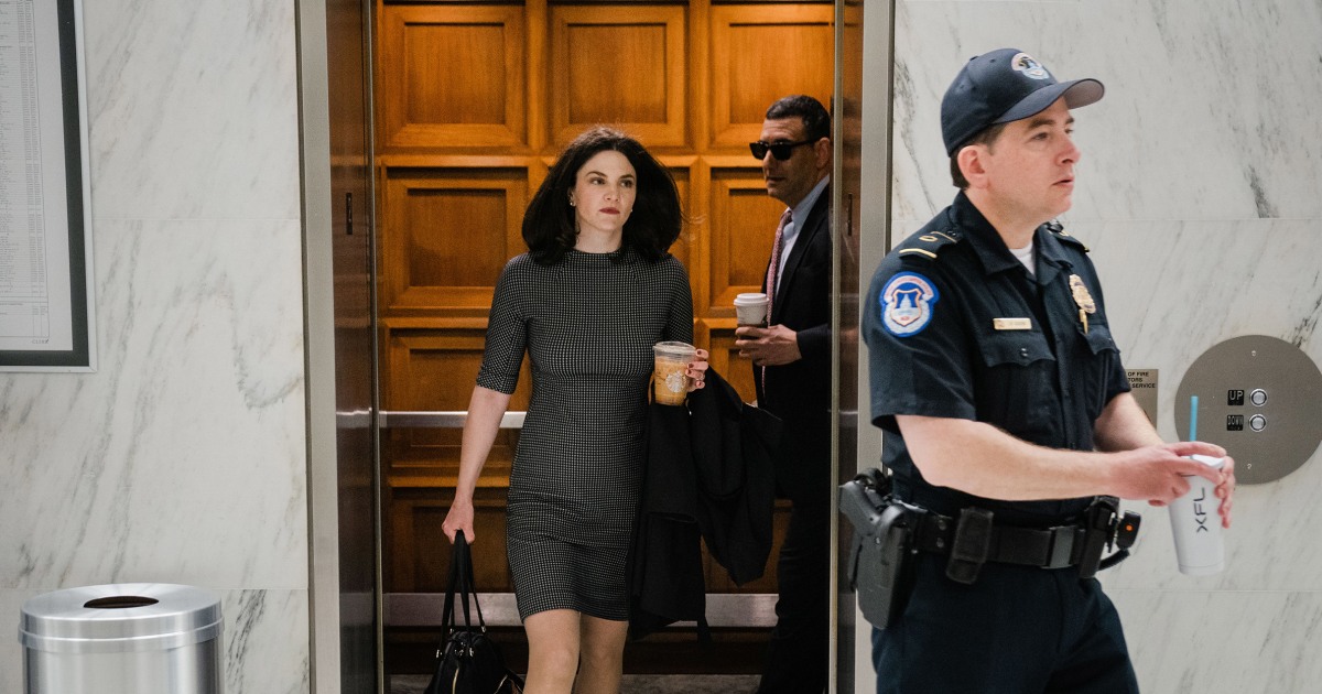 Nina Jancowicz's American Sunlight Project is pushing to learn more about the House GOP disinfo hearings - Vimarsana News