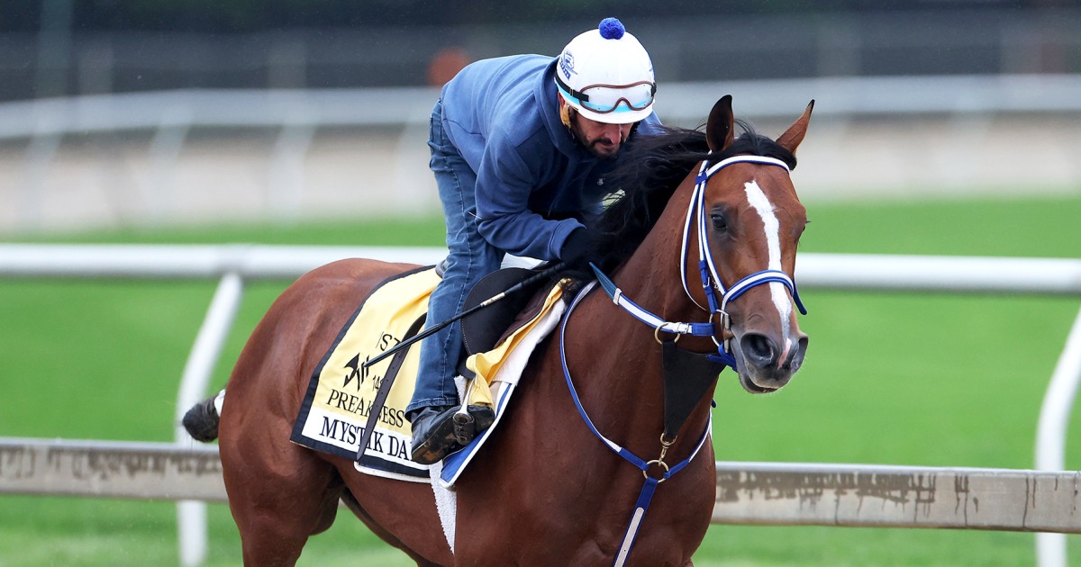 Preakness 2024 live updates: How to watch, start time, best horses to bet on