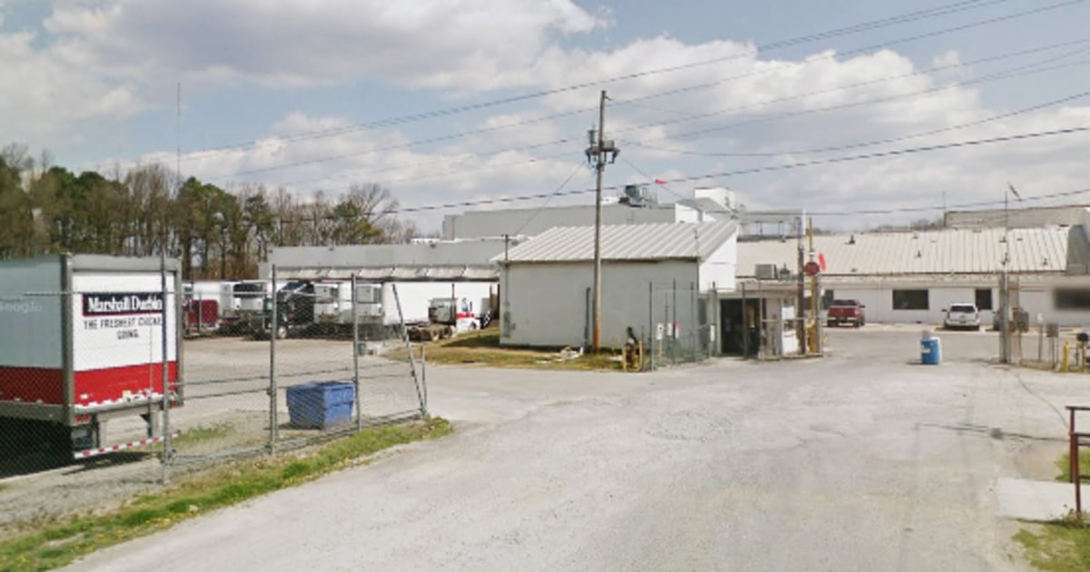 Four minors found working at Alabama poultry plant run by firm found responsible for teen’s death