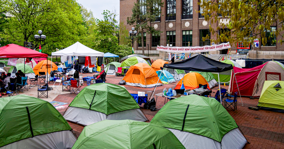 Police break up pro-Palestinian camp at the University of Michigan