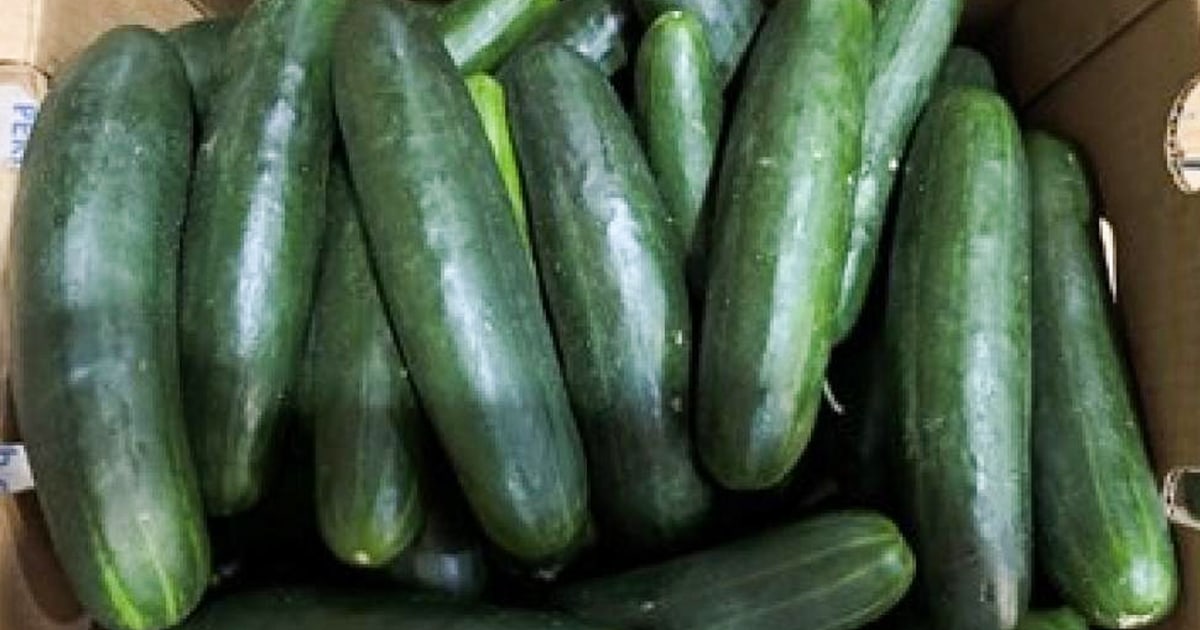 Cucumbers shipped to 14 states recalled over Salmonella concerns