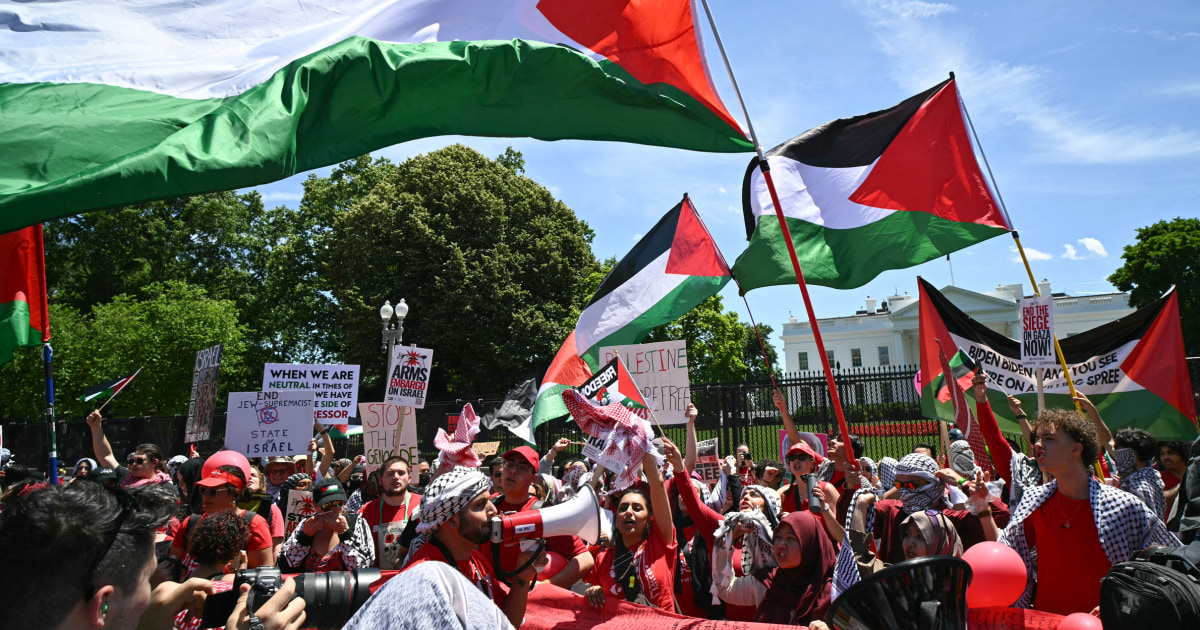 Thousands gather outside White House to protest war in Gaza