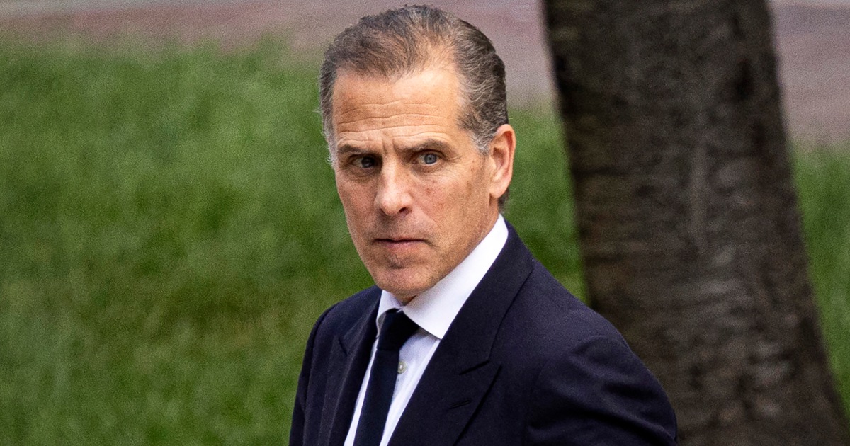 Some lawmakers say Hunter Biden gun charge should be prosecuted more often