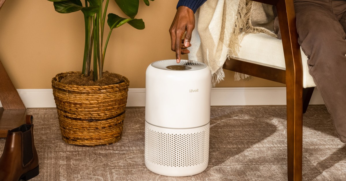 The 4 best affordable air purifiers of 2024