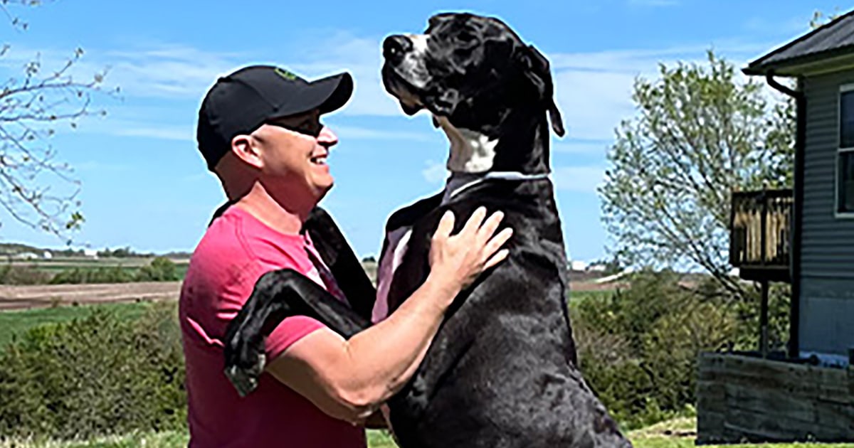 World's Tallest Dog Kevin Dies at Age 3