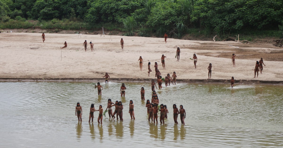 Uncontacted Amazon Tribe's Emergence from Rainforest Sparks Controversy over Logging Activities and Land Rights