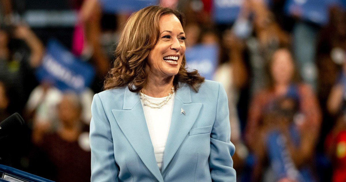 Kamala Harris has reenergized Democrats, but the party faces a long