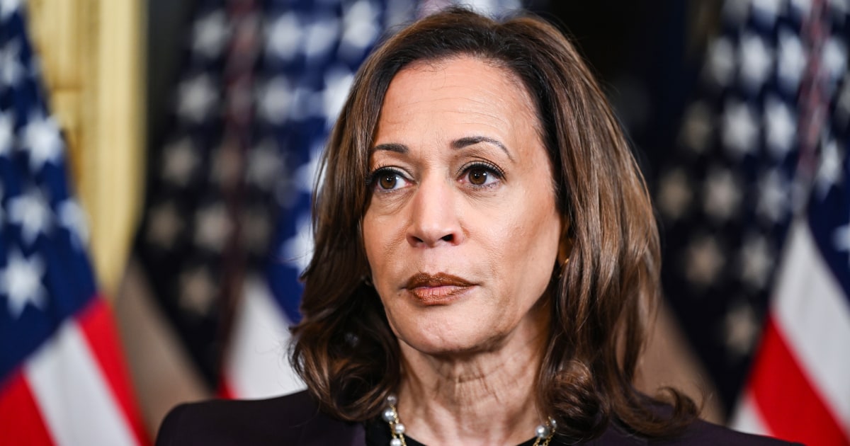 Trump says Harris would be ‘like a play toy’ to world leaders if elected