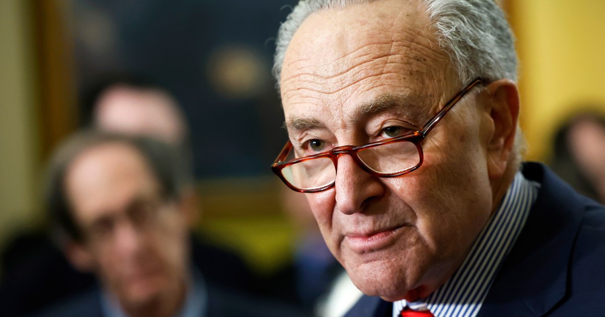 Democratic Sen. Chuck Schumer attempts to remove presidential immunity