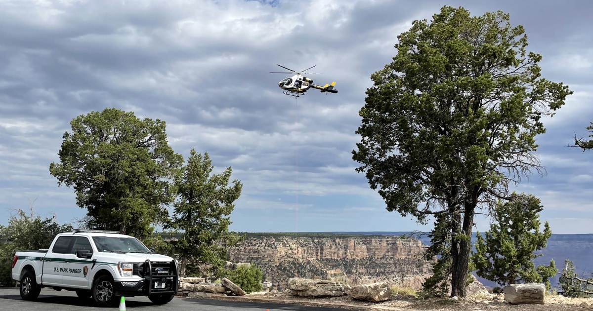 Missing person found dead at Grand Canyon, third fatality at national park in a week