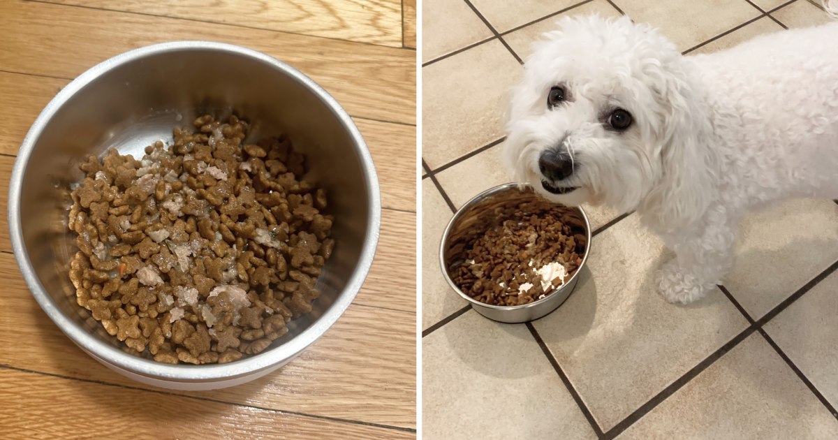 The Best Dog Food of 2024 Tested and Reviewed NBC Select