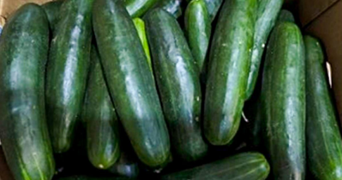 Recalled cucumbers linked to at least 449 illnesses have been pulled from stores, CDC says