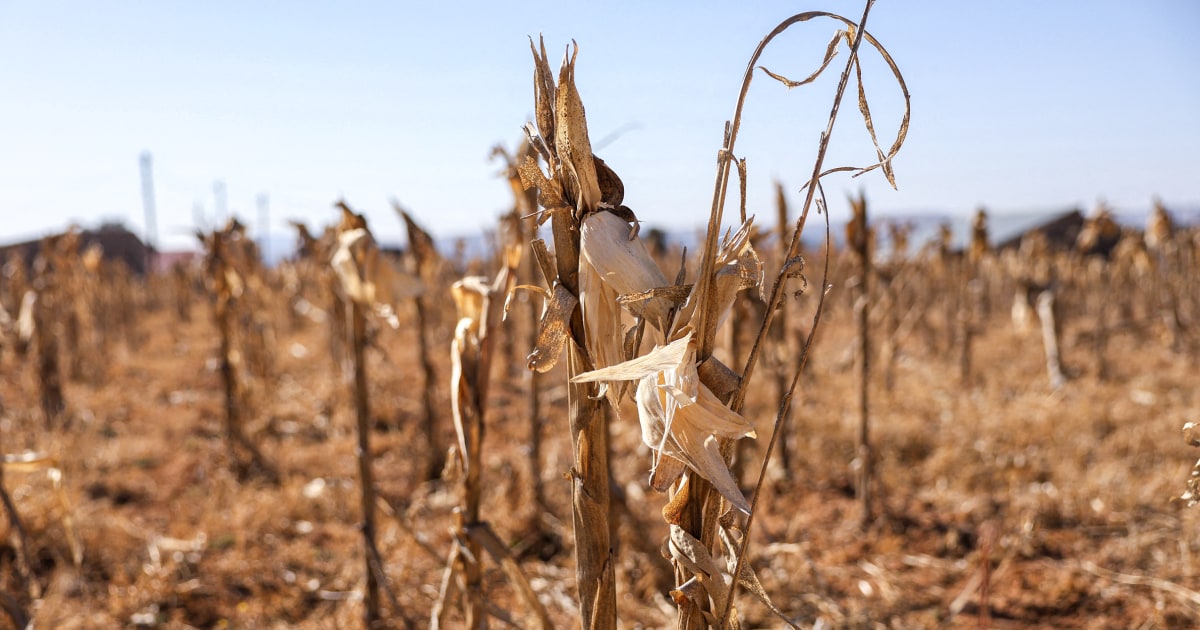 Nearly 68 million suffering from drought in Southern Africa, says regional bloc