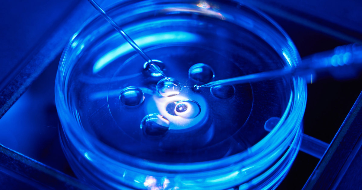 Florida IVF clinic accused of embryo mix-up closes amid legal and financial problems