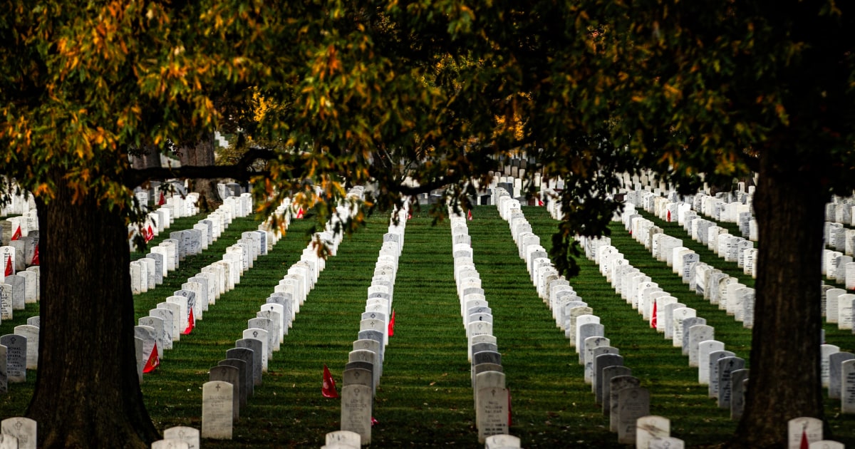 Trump to speak at Arlington National Cemetery to mark Memorial Day
