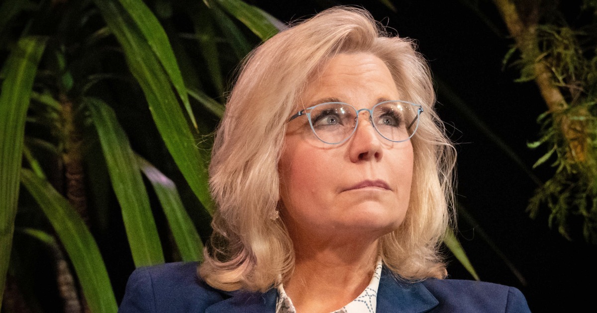 What Harris' appearance with Liz Cheney in Wisconsin says about her campaign