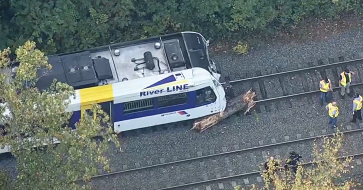 New Jersey Transit operator dead, 23 hurt after train hits tree