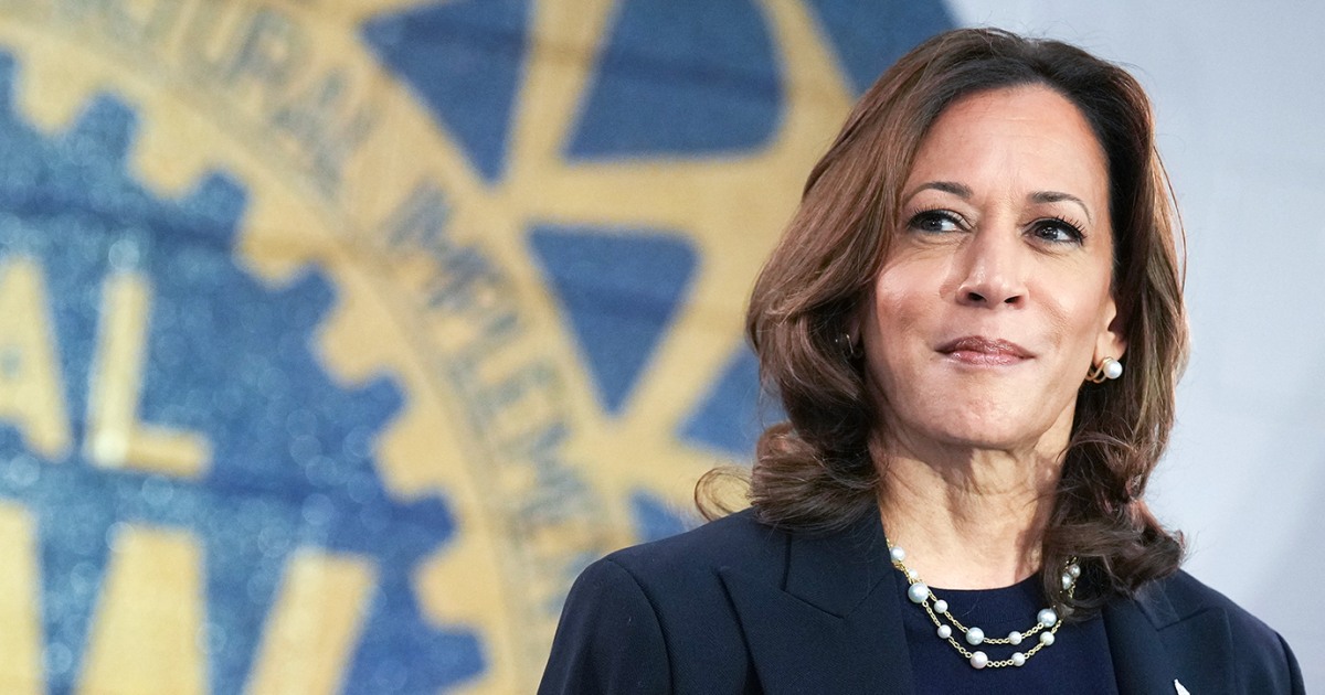 In Michigan, Democratic enthusiasm competes with disaffection In Michigan, Democratic enthusiasm competes with disaffection