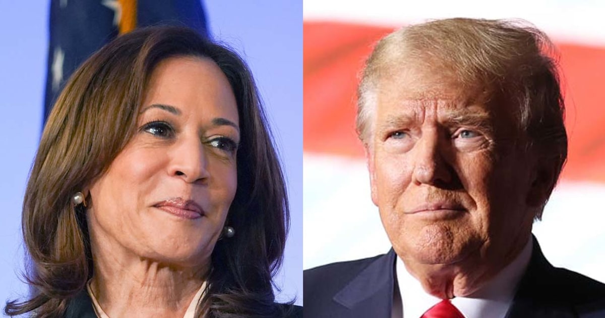 New poll shows Trump and Harris neck and neck nationally and in battlegrounds