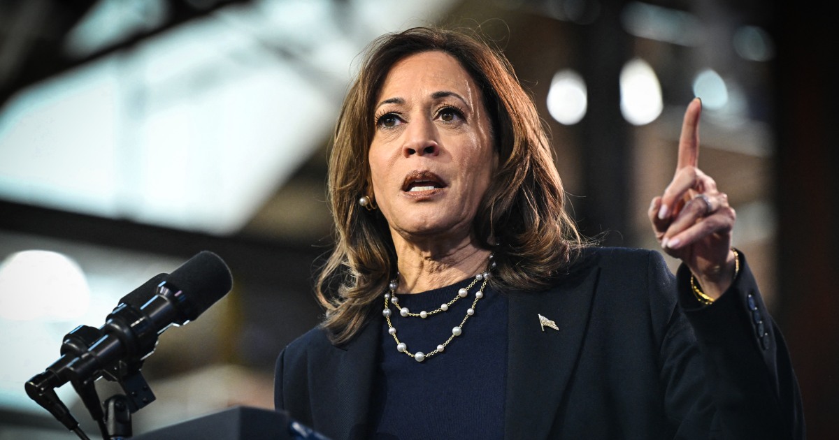 Harris’ campaign launches new ad seizing on Trump ally’s racist comments about Puerto Ricans