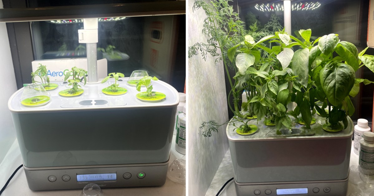 Aerogarden Harvest Garden System, offers Green