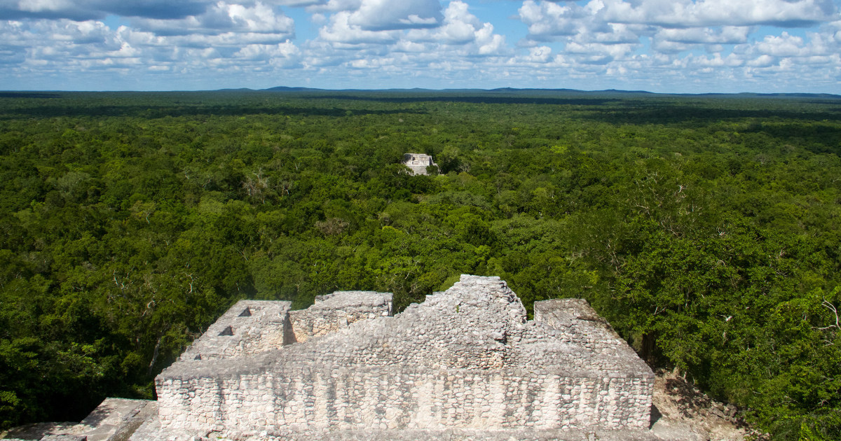 Una gran ciudad maya antigua fue encontrada en una jungla mexicana – por accidente