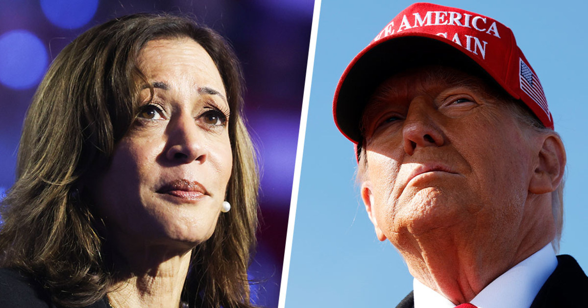 Trump and Harris make their final push with a blitz of rallies in battleground states