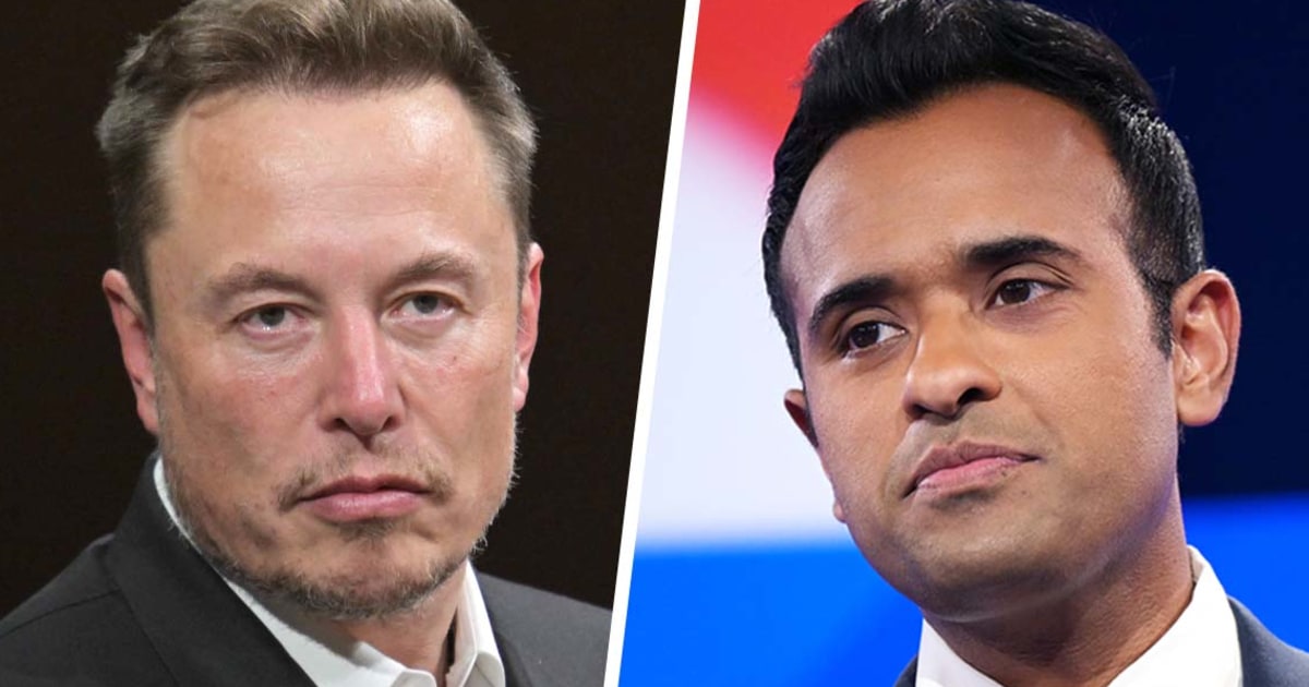 Will Elon Musk and Vivek Ramaswamy’s new ‘department’ actually be able to do anything?