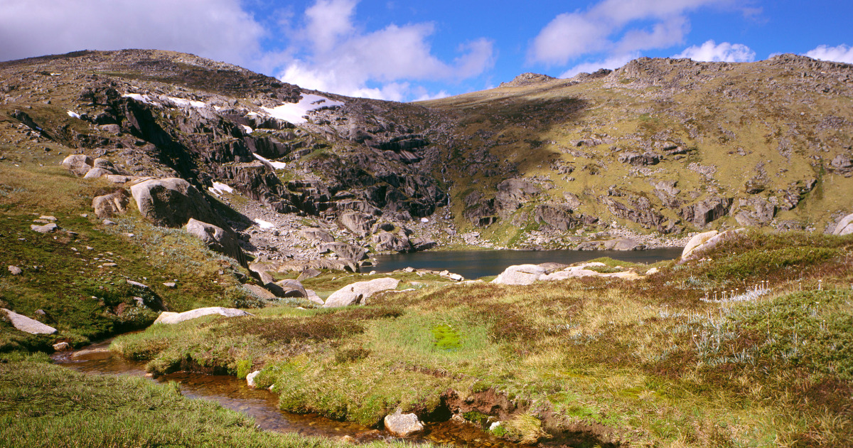 Missing Australian hiker discovered after surviving two weeks on muesli bars and berries