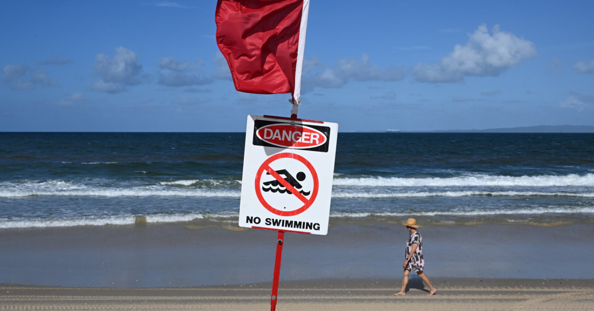 Swiss tourist killed in shark attack off Australia's east coast