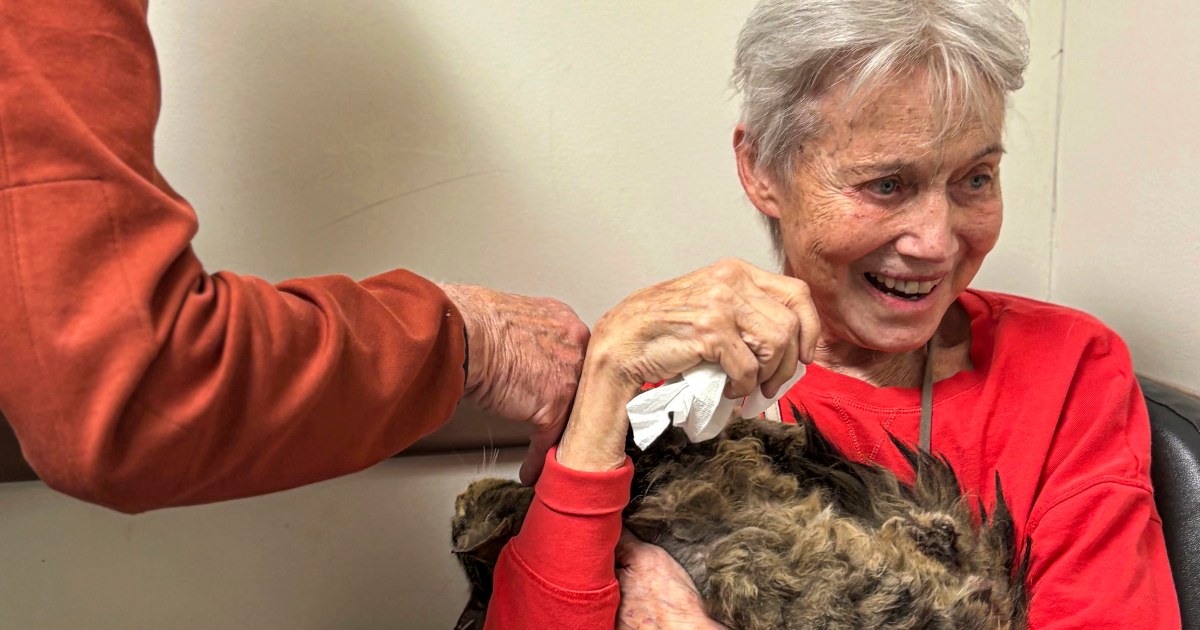 Owner reunited with her cat months after Palisades Fire destroyed her home