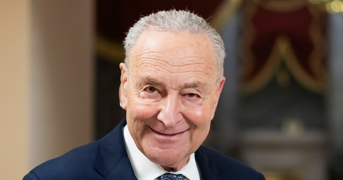 Schumer's Tactics Prevent Government Shutdown, Defying Critics