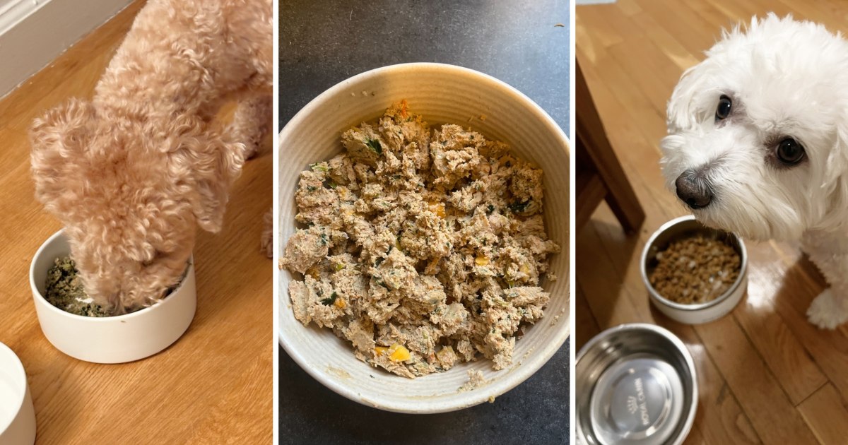 The Best Dog Food Delivery Services of 2025, According to Vets The Best Dog Food Delivery Services of 2025, According to Vets