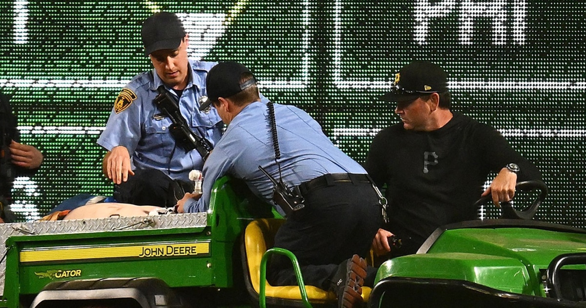 Man plunges from the stands at Pittsburgh Pirates game
