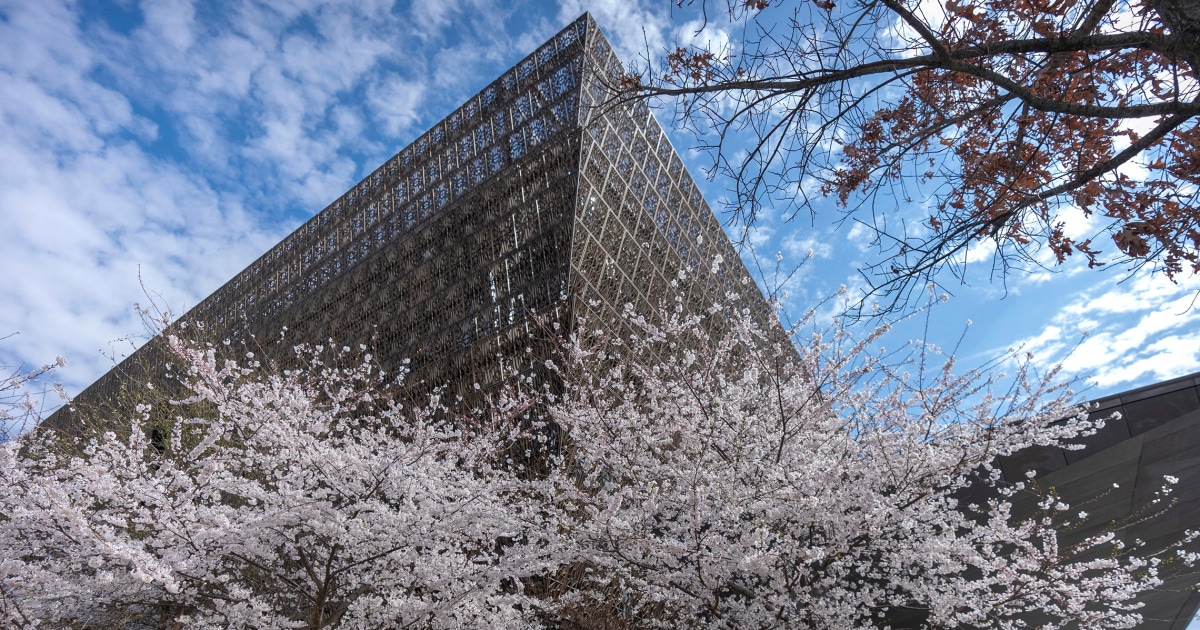 Prominent pastor notified books loaned to African American museum may be returned amid review