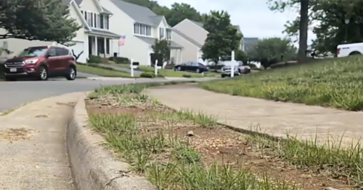 Virginia adolescente filmado y asesinado por el propietario mientras filma el video de la broma de Tiktok