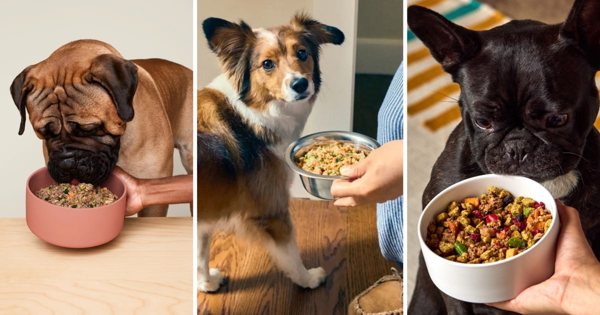 The Best Fresh Dog Food of 2025, According to Vets