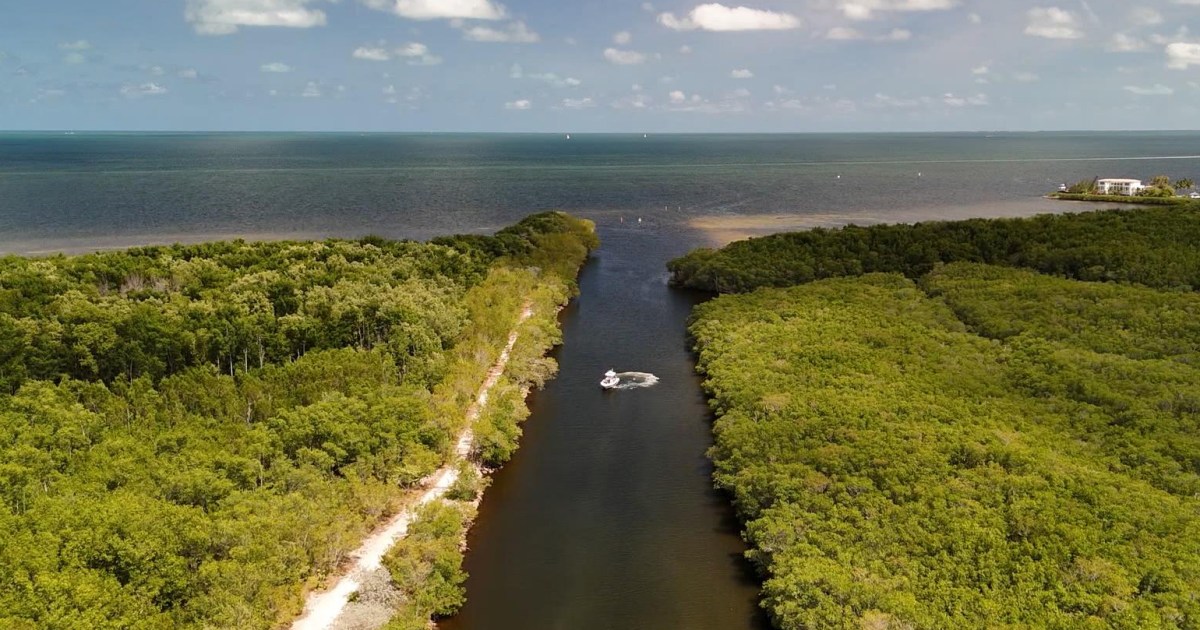 Ocean patrols and narcotics playbooks: How a Florida city is tackling human smuggling